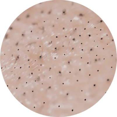 Nano Dots Haarpigmentierer für Nano Dots